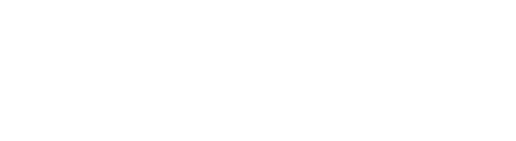 Novikov Group